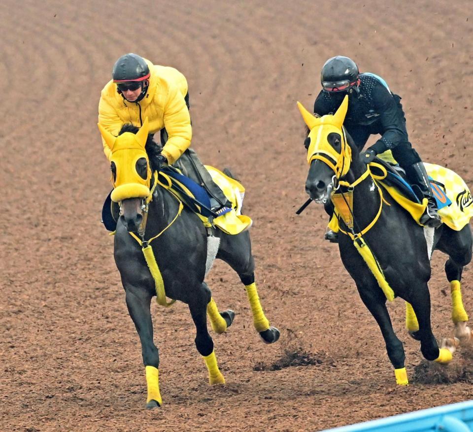 　悲願の中央Ｇ１制覇を目指すウィルソンテソーロ（左）
