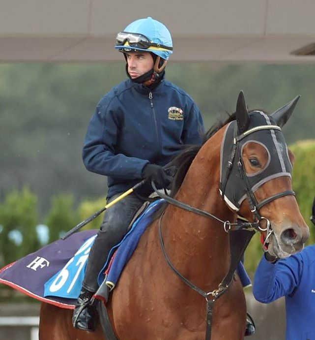 　初来日でいきなりＧ１Ｖを狙うジェルー（撮影・中田匡峻）