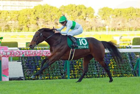 　鳴尾記念を制したデビットバローズ（撮影・石湯恒介）