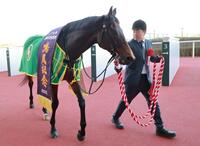 　鳴尾記念を制したデビットバローズ（撮影・石湯恒介）