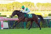 　鳴尾記念を制したデビットバローズ（撮影・石湯恒介）