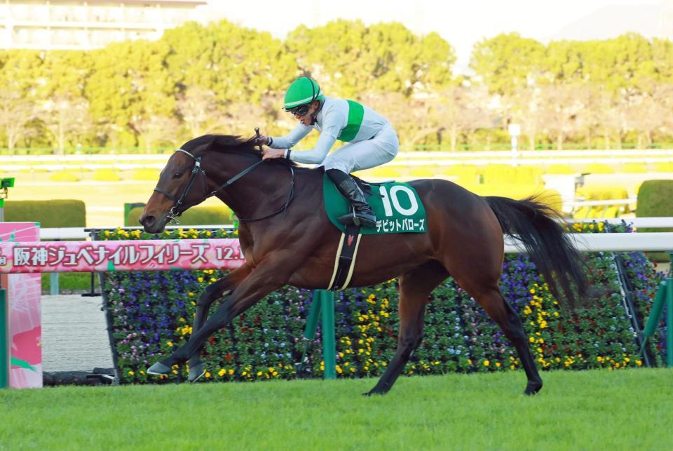 　鳴尾記念を制したデビットバローズ（撮影・石湯恒介）