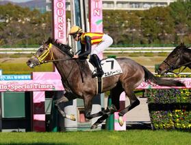 　新馬戦を快勝したエルハーベン（撮影・石湯恒介）