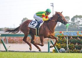 　新馬戦を制した武豊騎乗のゴーゴーリチャード