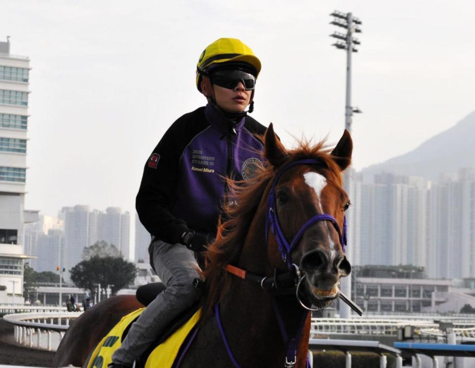 　好ムードで臨むウインカーネリアン