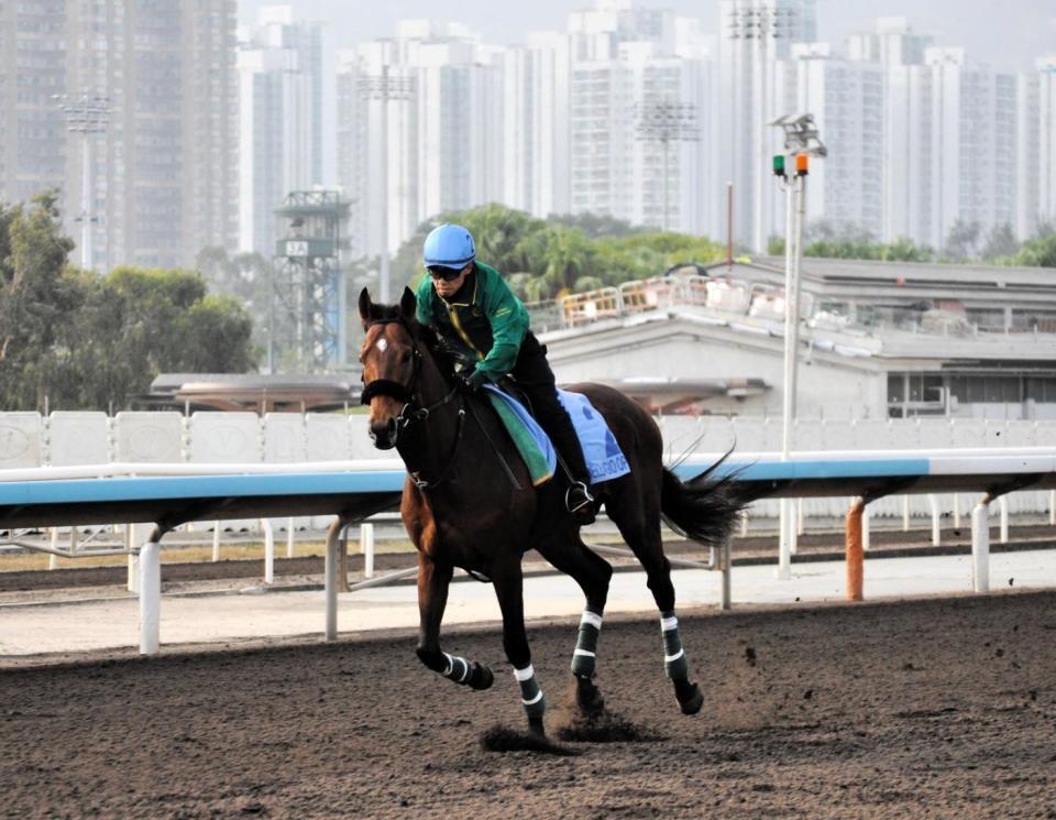 　オールウェザーコースを軽く流したベラジオオペラ