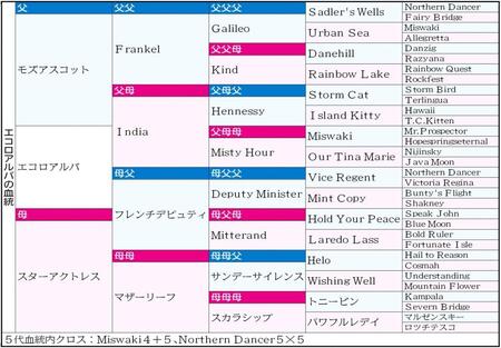 　エコロアルバの血統