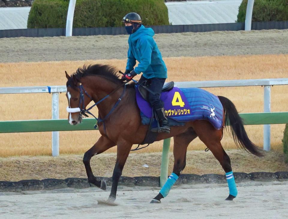 　データ班がイチ推しするカヴァレリッツォ