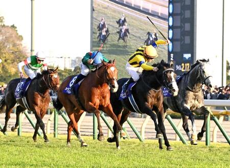 　カランダガン（中央左）が勝利したジャパンＣ＝２５年１１月３０日