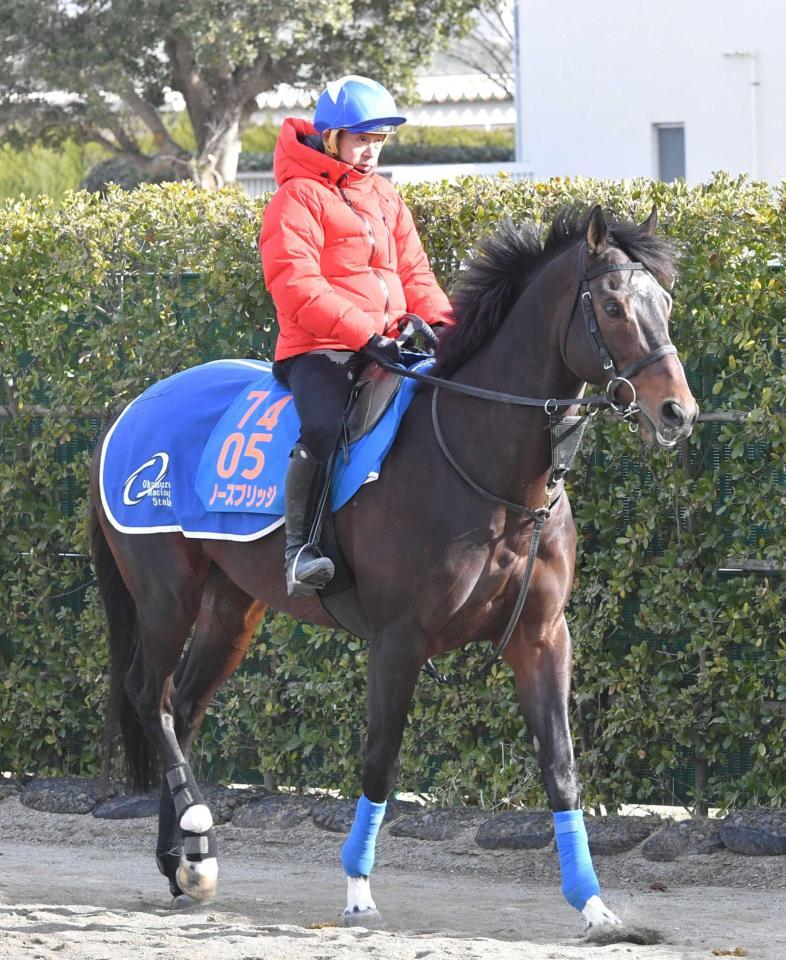 　長年コンビを組むノースブリッジとＡＪＣＣに臨む岩田康（撮影・持木克友）