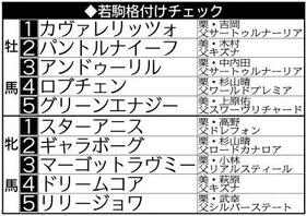 ３歳馬格付けチェック