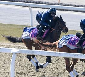 　アドマイヤパープル（左）