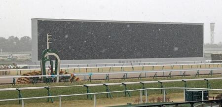 雪のため中止になった京都競馬（撮影・石湯恒介）