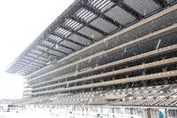 中止が発表された東京競馬場