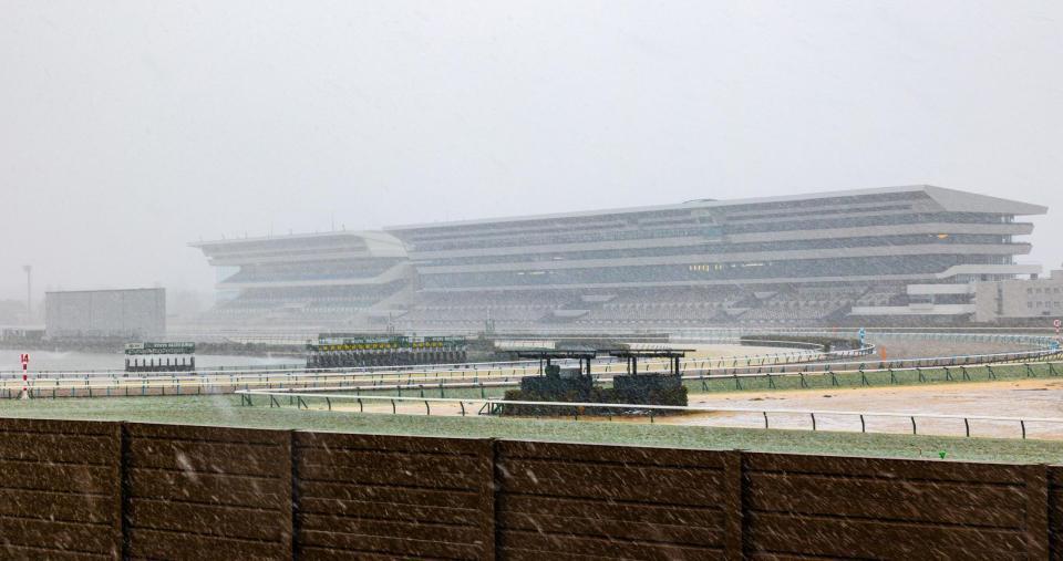雪のため中止になった京都競馬（撮影・石湯恒介）