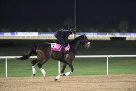 ドンインザムード