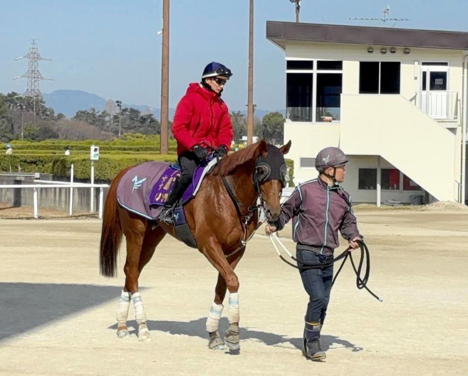 ダノンデサイルとファーストコンタクトを取った坂井瑠星騎手