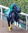 【大阪杯】馬場状態から浮上する馬はこの馬だ