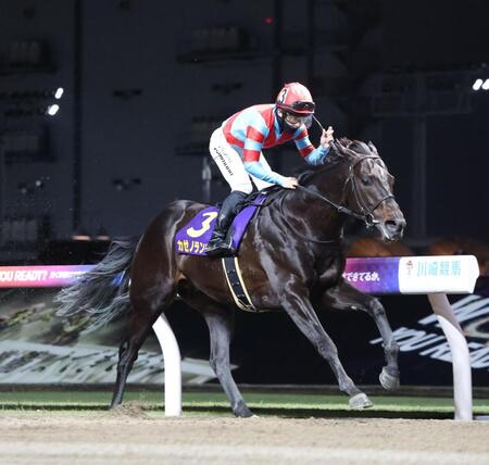 川崎記念を制したカゼノランナーとガッチポーズする西村淳也＝川崎競馬場