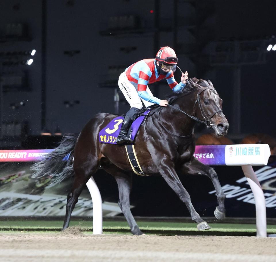 川崎記念を制したカゼノランナーとガッチポーズする西村淳也＝川崎競馬場