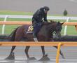 【安田記念】馬場状態から浮上するのはこの馬だ