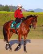 【新馬戦】ダイナマイク来春の大舞台へ好発進だ 24年セレクトセールで2億4000万円、福永助手「血統馬らしく背中がいい」