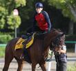 【阪神&東京の危険な人気馬】ニシノティアモ 東京11R・府中牝馬S