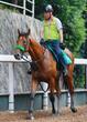 【新馬戦】ジャンゴッド 怪物候補のお披露目だ 兄は皐月賞馬・ジャスティンミラノ 杉山晴師「前向きで気がいい」