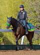 【函館&福島&小倉の危険な人気馬】ジョバンニ 小倉11R・小倉記念