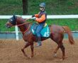 【新馬戦】ショウナンバトレニ 母にG1・2勝名牝ショウナンパンドラ、期待の逸材が初陣星へ 高野師「実直な馬です」