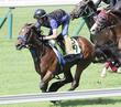 【新馬戦】ウィエダンドに好気配 シンハライトなど近親に活躍馬多数 坂田助手「レベル違うくらいの動き」