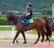 【新馬戦】シホノノービレ エンジン性能ピカイチ 佐藤悠師も期待「初戦から動いて欲しい」