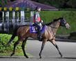 【阪神&中山の危険な人気馬】レガレイラ 中山11R・オールカマー