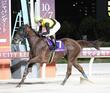 レディスプレリュードを制したメモリアカフェはJBCレディスCへ 鞍上は武豊
