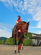 【BCクラシック】フォーエバーヤング 史上2頭目の連覇狙う 坂井「休み明け1回使って変わって欲しい」