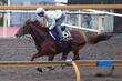 【天皇賞・秋】ダノンデサイル G1・3勝目へ 安田師合格点「随分良くなりました」