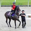 【天皇賞・秋】ネブラディスク 福永師「間に合ったね」好仕上がりをアピール 馬体重は前走からプラス8キロ