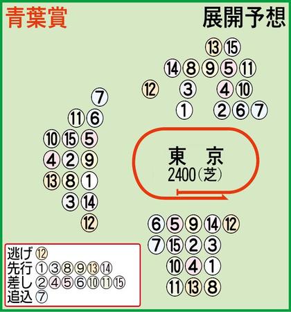 展開予想図