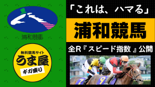 スワーヴエルメら２歳評判馬が２７日・東京新馬戦で激突（ＰＯＧブログ