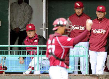 古巣・阪神に大量リードを許し厳しい表情の星野監督（撮影・田中太一）