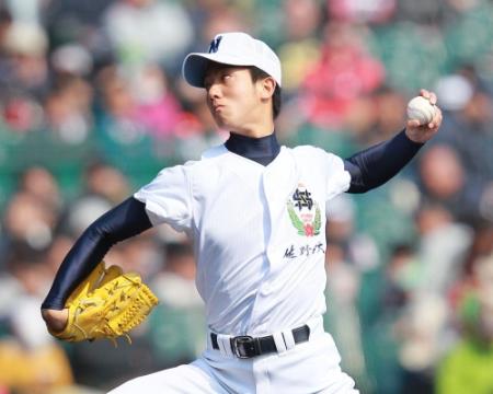 力投する佐野日大・田嶋＝甲子園（撮影・神子素慎一）