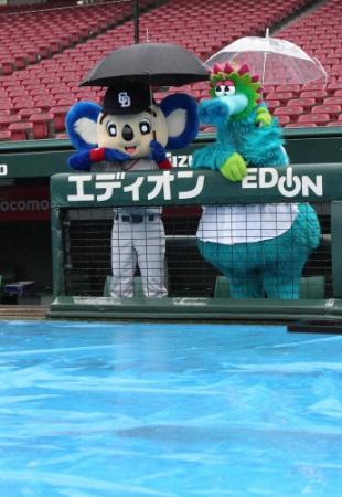 　雨天中止になり広島のマスコットスライリー（右）と傘をさしてグラウンドを見るドアラ＝マツダスタジアム