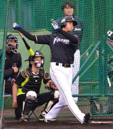 大谷 マスコットバットで柵越え連発/野球/デイリースポーツ online