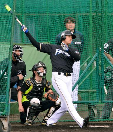 　フリー打撃で柵越えを連発した大谷（撮影・村中拓久）