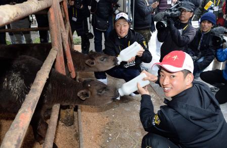 　子牛にミルクを与える古沢（手前）と松本