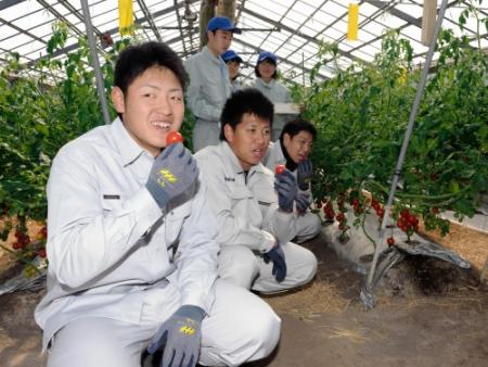 　キャンプ休日に宮崎農の生徒（後方）らと農業体験し収穫したトマトを食べる（手前から）岡本、戸根、高木