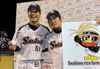 燕の新垣「背水の陣」で597日ぶり星