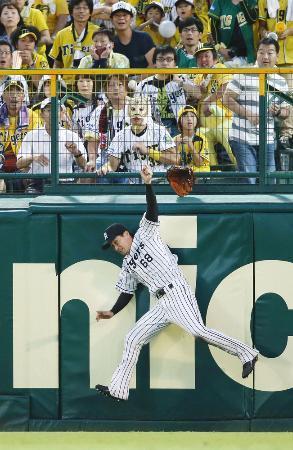 　１２日の広島-阪神戦で飛球に飛びつく阪神の中堅手俊介。三塁打と判定された＝甲子園