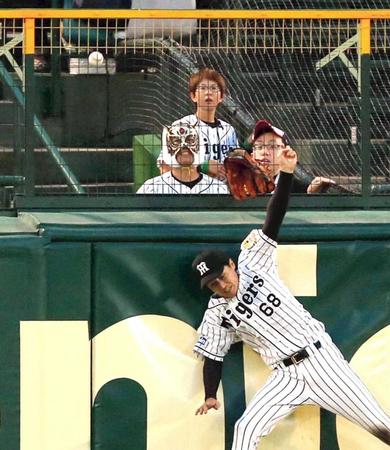 　阪神対広島戦の延長１２回、ビデオ判定となった田中のフェンス際の打球＝１２日