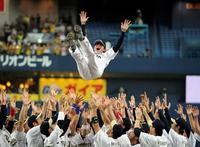 ナインの手によって高々と宙を舞うオリックス・谷佳知＝京セラ（撮影・保田叔久）